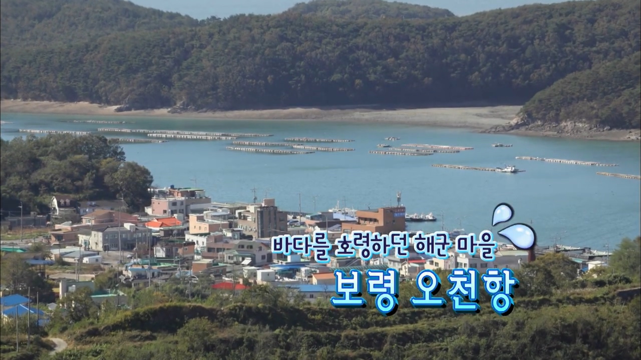 [0311 mbc 생방송 아침이좋다] 보령 오천항 리나의 바다로 한 뼘 더